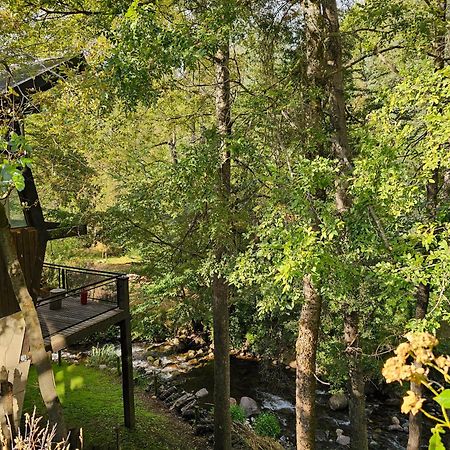 Das Rosenhaus Apart Hotel By Rosas Blancas San Martin de los Andes Bagian luar foto